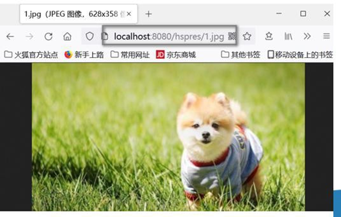 image-20250925201052746