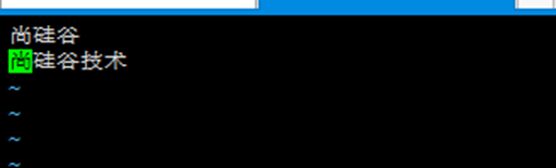 image-20250926011023054